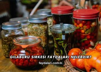 Gilaburu Sirkesi Faydaları Nelerdir