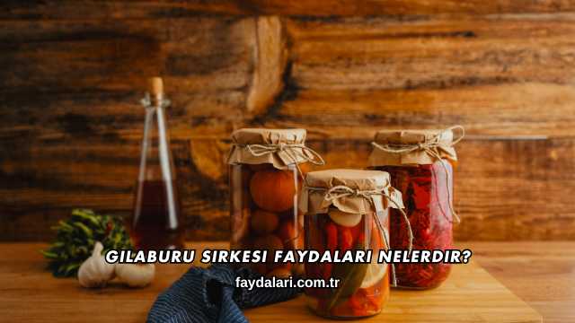 Gilaburu Sirkesi Faydaları Nelerdir