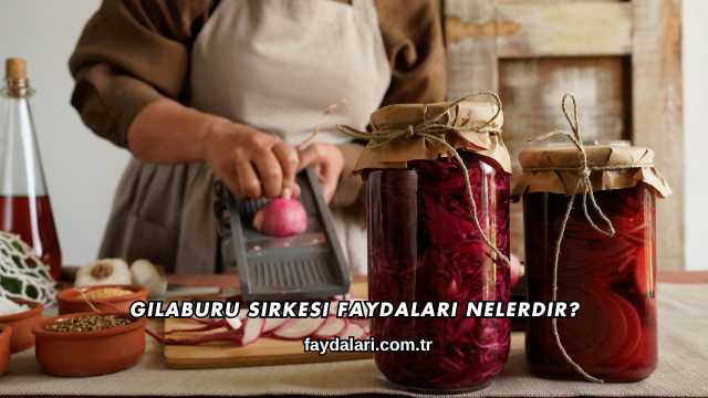 Gilaburu Sirkesi Faydaları Nelerdir
