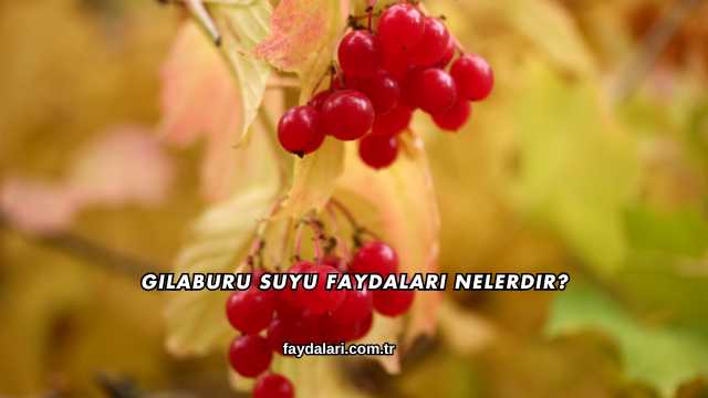 Gilaburu Suyu Faydaları Nelerdir?