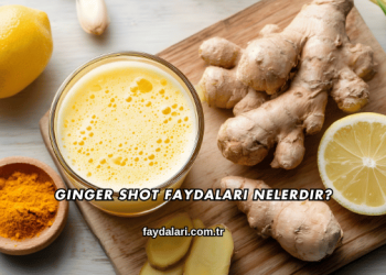 Ginger Shot Faydaları Nelerdir?