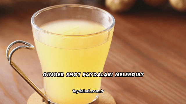 Ginger Shot Faydaları Nelerdir?