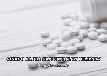 Ginkgo Biloba Hapı Faydaları Nelerdir?