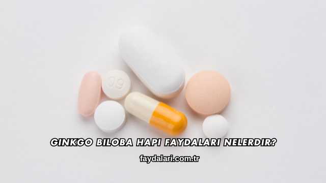 Ginkgo Biloba Hapı Faydaları Nelerdir?