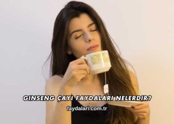 Ginseng Çayı Faydaları Nelerdir?