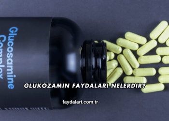 Glukozamin Faydaları Nelerdir?