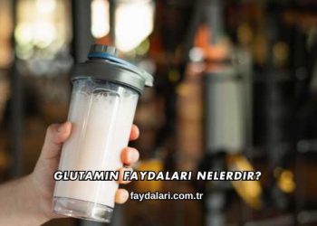 Glutamin Faydaları Nelerdir?