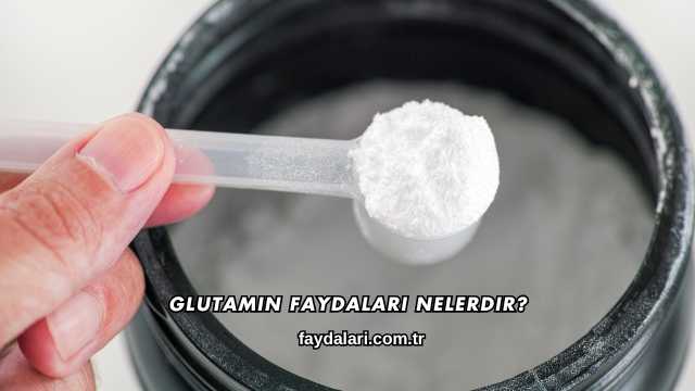 Glutamin Faydaları Nelerdir?