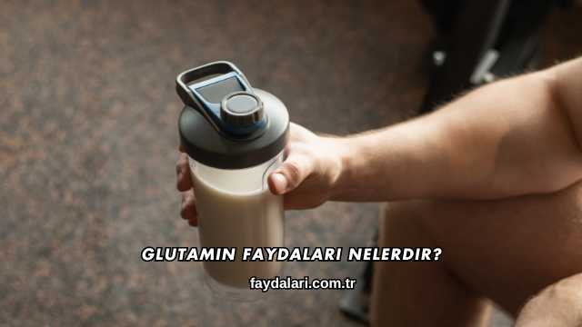 Glutamin Faydaları Nelerdir?