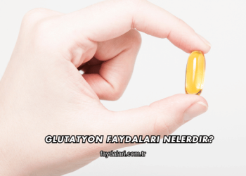 Glutatyon Faydaları Nelerdir?