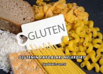 Glutenin Faydaları Nelerdir?