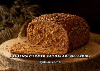 Glutensiz Ekmek Faydaları Nelerdir?