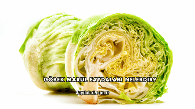 Göbek Marul Faydaları Nelerdir?