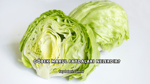 Göbek Marul Faydaları Nelerdir?