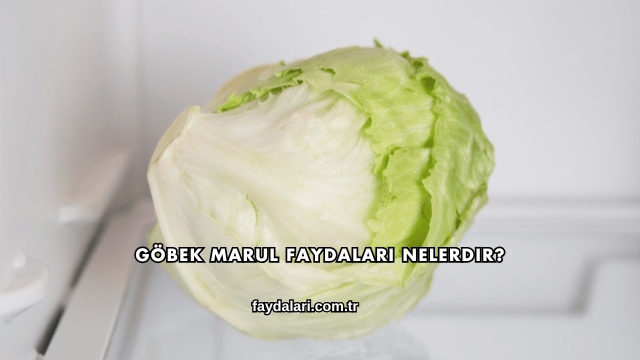 Göbek Marul Faydaları Nelerdir?
