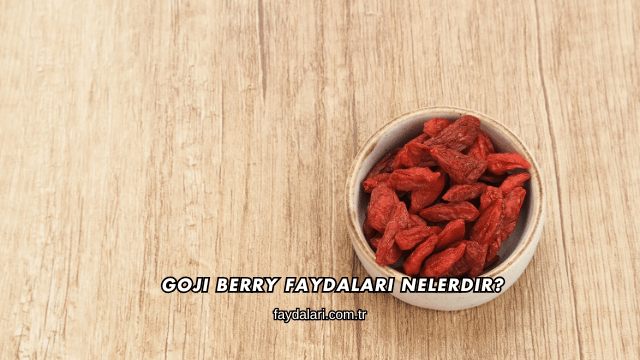 Goji Berry Faydaları Nelerdir?