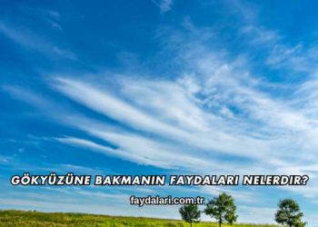 Gökyüzüne Bakmanın Faydaları Nelerdir?