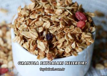 Granola Faydaları Nelerdir?
