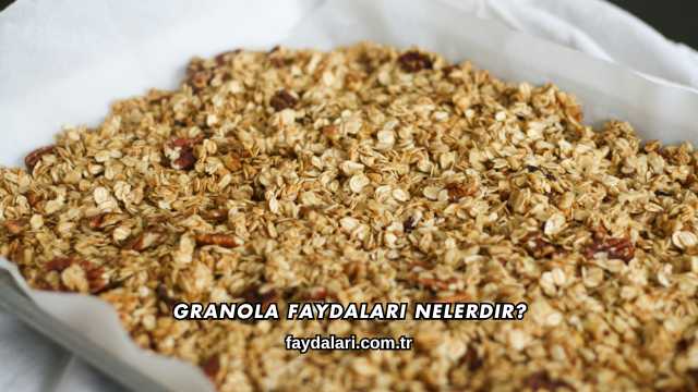 Granola Faydaları Nelerdir?