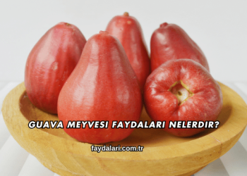 Guava Meyvesi Faydaları Nelerdir?
