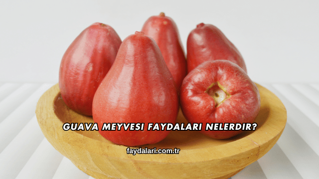 Guava Meyvesi Faydaları Nelerdir?
