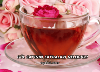 Gül Çayının Faydaları Nelerdir?