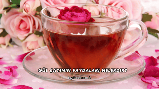Gül Çayının Faydaları Nelerdir?
