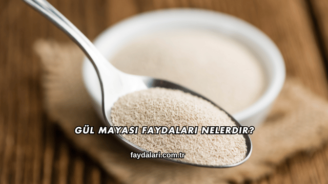 Gül Mayası Faydaları Nelerdir?