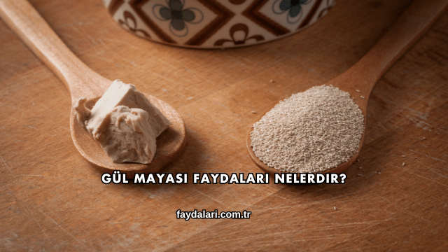 Gül Mayası Faydaları Nelerdir?