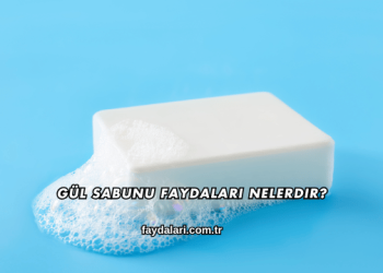 Gül Sabunu Faydaları Nelerdir?