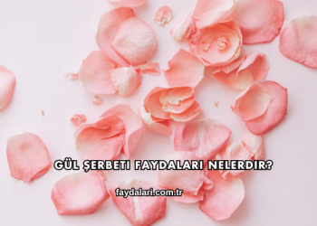 Gül Şerbeti Faydaları Nelerdir?