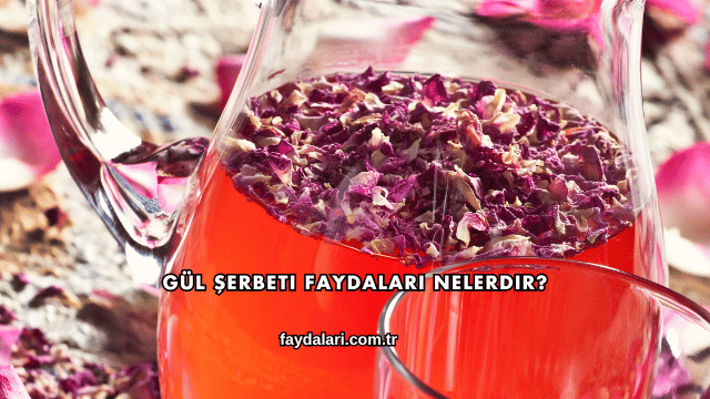 Gül Şerbeti Faydaları Nelerdir?