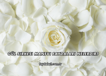 Gül Sirkesi Manevi Faydaları Nelerdir?