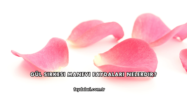 Gül Sirkesi Manevi Faydaları Nelerdir?