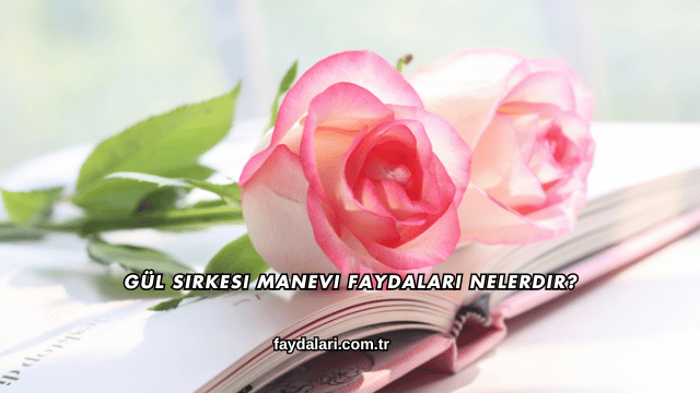 Gül Sirkesi Manevi Faydaları Nelerdir?