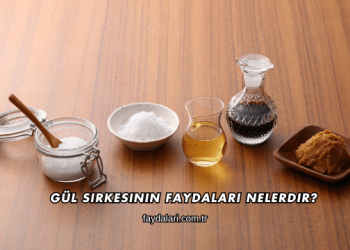 Gül Sirkesinin Faydaları Nelerdir?