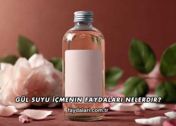 Gül Suyu İçmenin Faydaları Nelerdir?