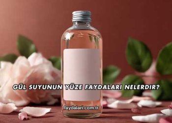Gül Suyunun Yüze Faydaları Nelerdir?