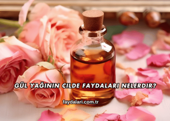 Gül Yağının Cilde Faydaları Nelerdir?