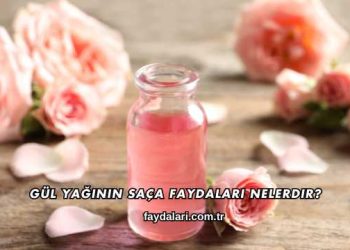 Gül Yağının Saça Faydaları Nelerdir?