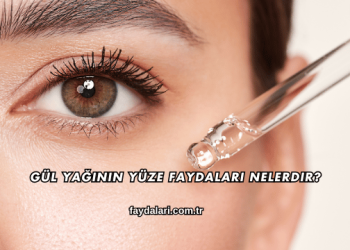Gül Yağının Yüze Faydaları Nelerdir?