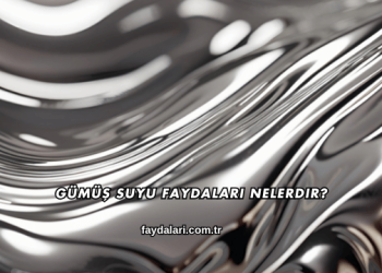 Gümüş Suyu Faydaları Nelerdir?