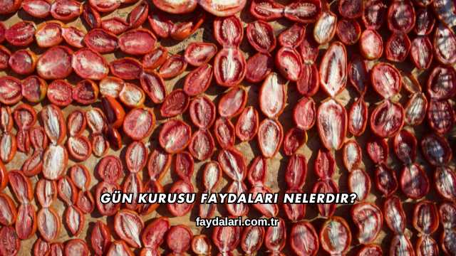 Gün Kurusu Faydaları Nelerdir?