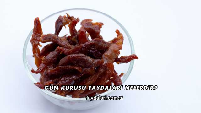 Gün Kurusu Faydaları Nelerdir?