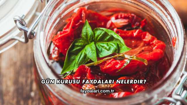 Gün Kurusu Faydaları Nelerdir?