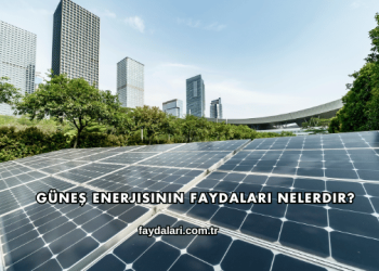 Güneş Enerjisinin Faydaları Nelerdir?
