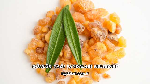 Günlük Yağı Faydaları Nelerdir?