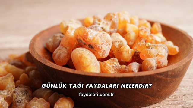 Günlük Yağı Faydaları Nelerdir?