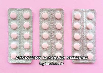 Gynoferon Faydaları Nelerdir?