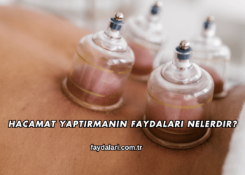 Hacamat Yaptırmanın Faydaları Nelerdir?